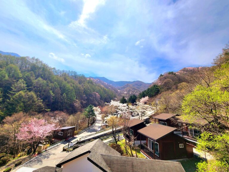 지리산 휴양림 풍경