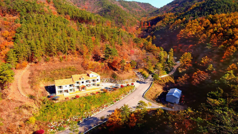 속리산말티재자연휴양림