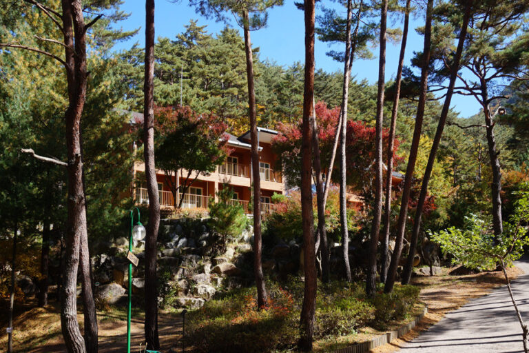 검마산 휴양림 사진